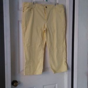 Coldwater Creek Capris - 18